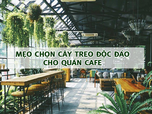 Mẹo chọn cây treo cho quán cà phê phong cách nhất 2021