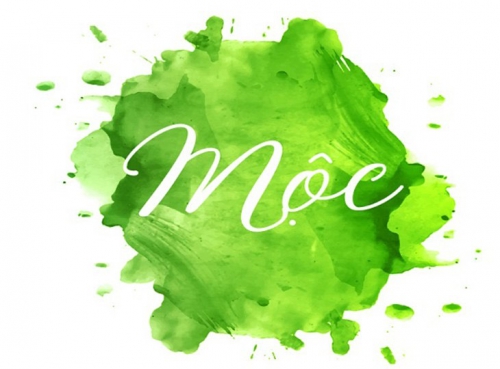 Người mệnh Mộc hợp cây gì trong nhà để mang lại May Mắn, Tài Lộc?